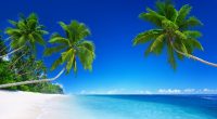 Tropical Beach Paradise 5K93191695 200x110 - Tropical Beach Paradise 5K - Tropical, Paradise, Beach